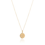 Stargazer Pendant in Gold and Zirconia