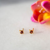 Dudley Stud in Gold with Garnet