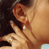 Pearl Drop with Crystal charm hoops