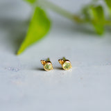 Dudley Stud in Gold with Peridot Earring Memara 